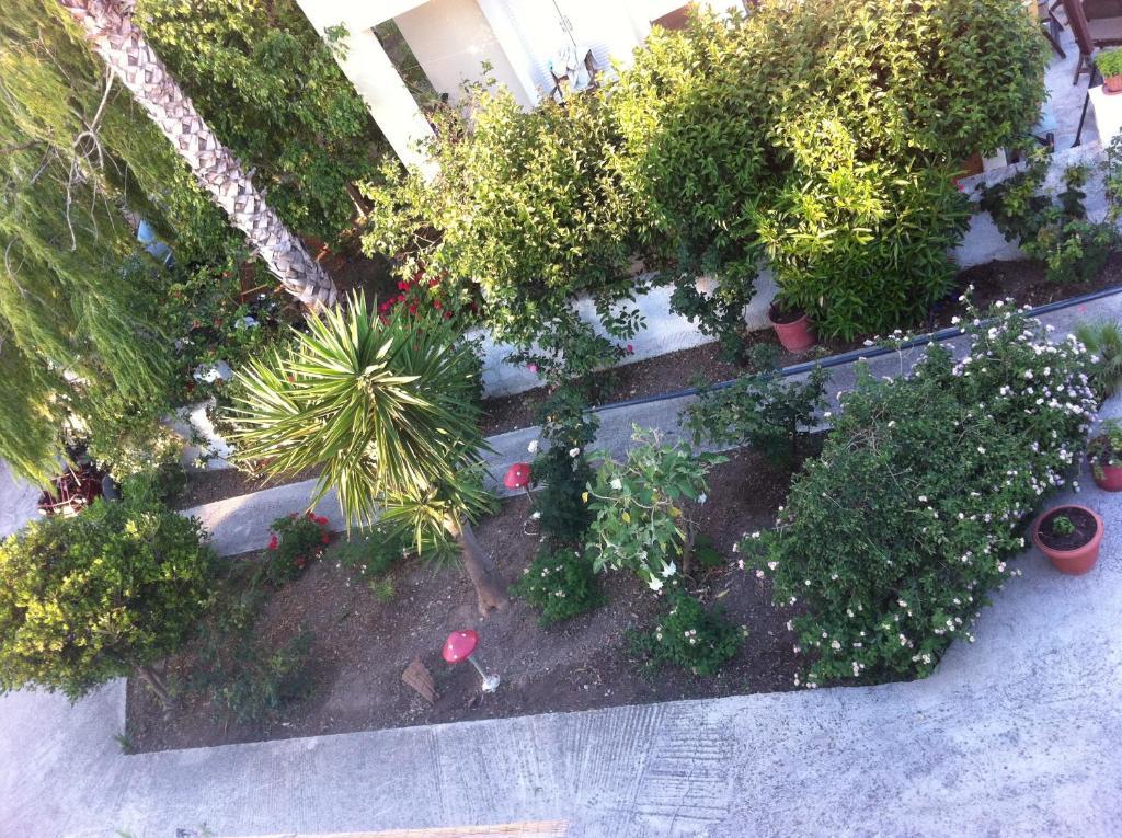 Manine Apartments Kos Town Bilik gambar